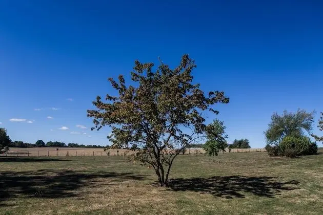 Standard Tek Büyük Yataklı Oda, Engellilere Uygun