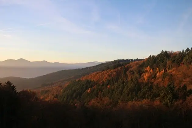 Comfort Tek Büyük Yataklı Oda (Sud)