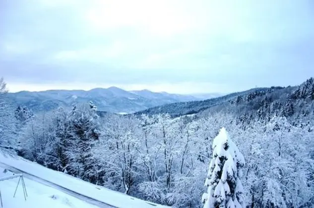 Comfort Tek Büyük Yataklı Oda (Sud)