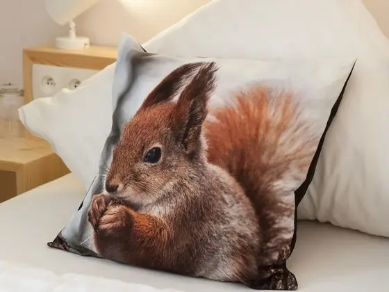 Standard Tek Kişilik Oda, Banyolu/Duşlu, Dağ Manzaralı