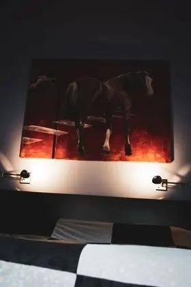 Superior Tek Büyük veya İki Ayrı Yataklı Oda