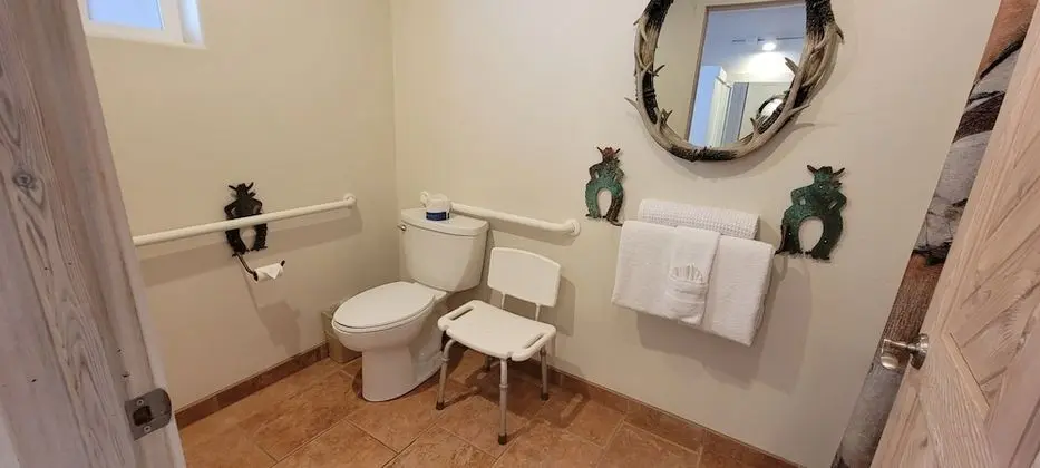 Comfort Tek Kişilik Oda, 1 En Büyük (King) Boy Yatak, Engellilere Uygun, Balkon