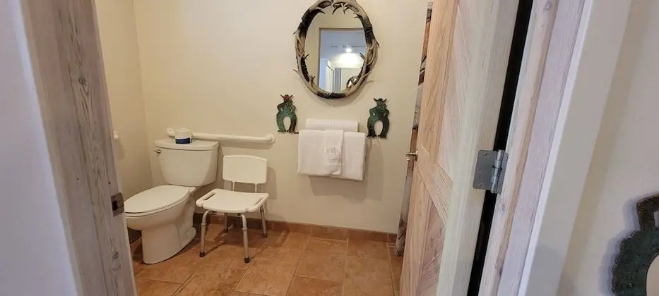 Comfort Tek Kişilik Oda, 1 En Büyük (King) Boy Yatak, Engellilere Uygun, Balkon