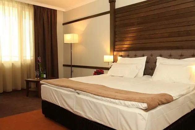 Comfort Oda, 1 En Büyük (King) Boy Yatak, Engellilere Uygun, Dağ Manzaralı