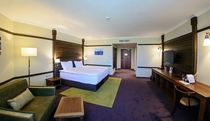 Executive Oda, 1 En Büyük (King) Boy Yatak, Sigara İçilmez, Dağ Manzaralı