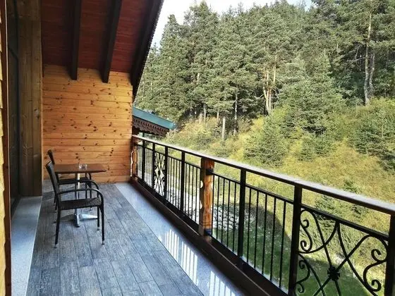 Executive Oda, 1 En Büyük (King) Boy Yatak, Sigara İçilmez, Dağ Manzaralı