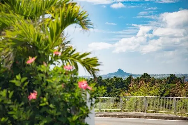 Deluxe Villa, 3 Yatak Odası