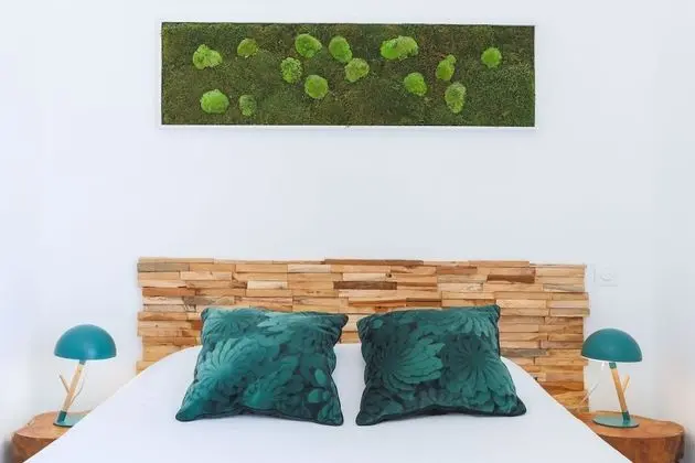 Tek Büyük Yataklı Oda, Balkon, Deniz Manzaralı (végétale)
