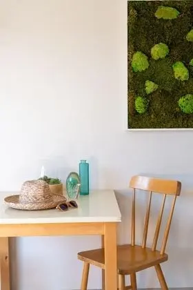 Tek Büyük Yataklı Oda, Balkon, Deniz Manzaralı (végétale)