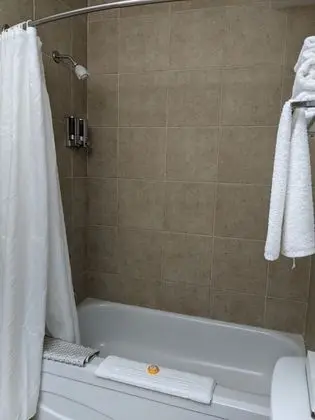 Exclusive Süit, 1 En Büyük (King) Boy Yatak ve Çekyat