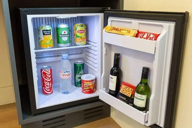 Standard Tek Büyük Yataklı Oda, Sigara İçilebilir