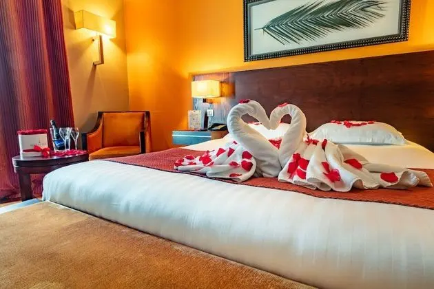 Superior Tek Büyük Yataklı Oda