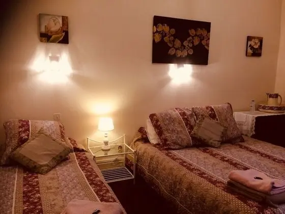 Premium Tek Büyük Yataklı Oda, Banyolu/Duşlu, Bahçe Manzaralı (Large Room )