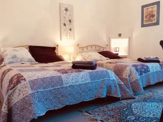 Premium Tek Büyük Yataklı Oda, Banyolu/Duşlu, Bahçe Manzaralı (Large Room )