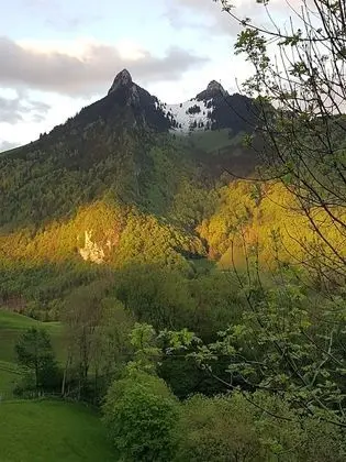 Tek Büyük veya İki Ayrı Yataklı Oda, Dağ Manzaralı
