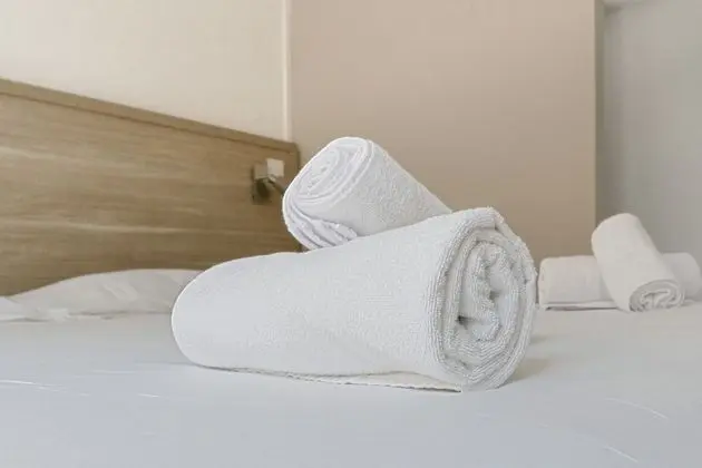 Economy Tek Büyük Yataklı Oda, Banyolu/Duşlu, Dağ Manzaralı (WC extérieur )