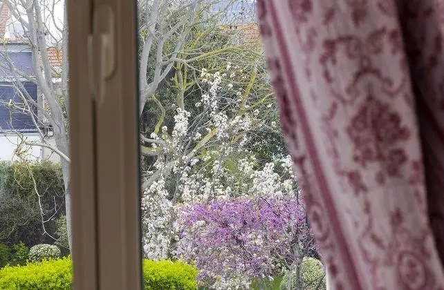 Classic Üç Kişilik Oda