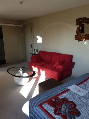 Superior Tek Büyük Yataklı Oda