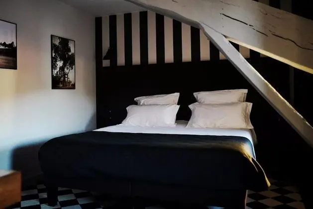 Superior Tek Büyük Yataklı Oda