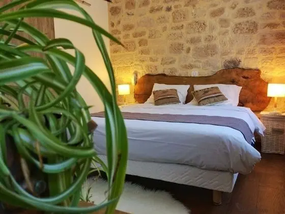 Comfort Tek Büyük Yataklı Oda, Banyolu/Duşlu (Vue rivière)