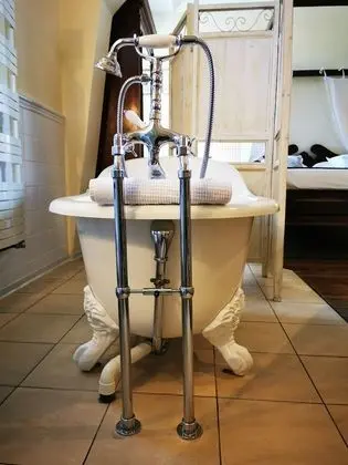 Süit
