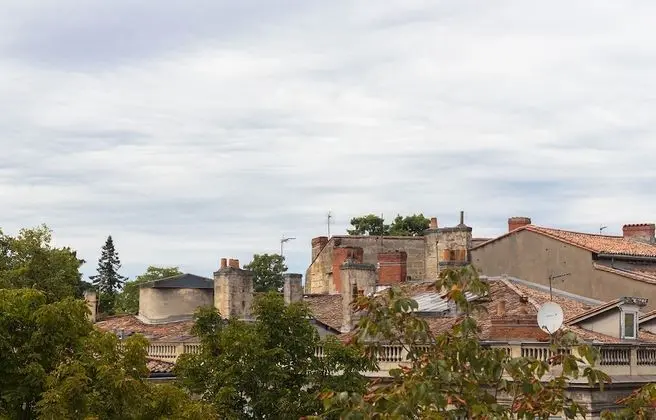 Tek Büyük Yataklı Oda, Şehir Manzaralı (Marronnier)