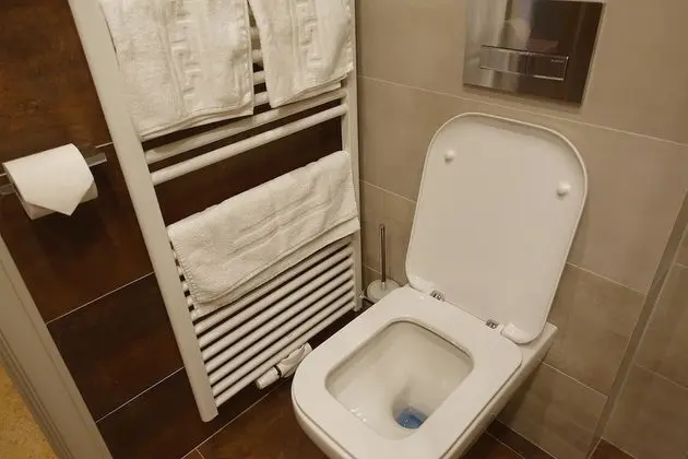 Superior Tek Büyük veya İki Ayrı Yataklı Oda
