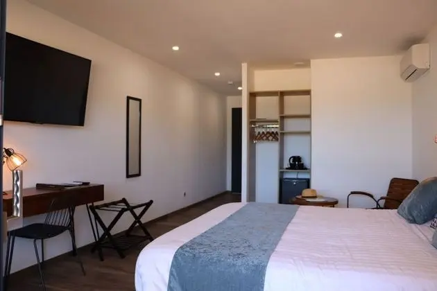 Superior Tek Büyük Yataklı Oda