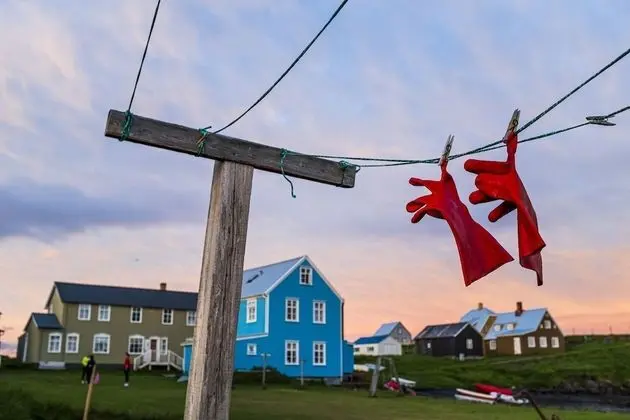 Basic Tek Büyük Yataklı Oda