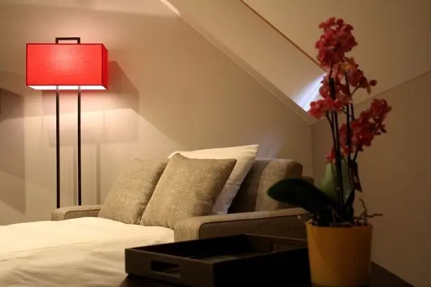 Standard Tek Büyük veya İki Ayrı Yataklı Oda