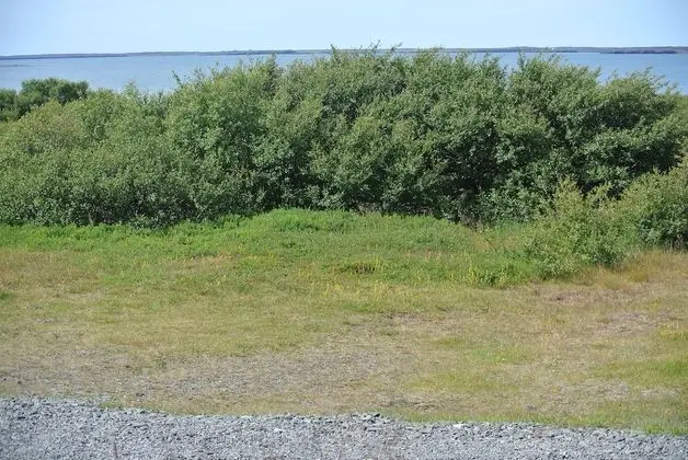 Standard Tek Büyük veya İki Ayrı Yataklı Oda, Özel Banyo