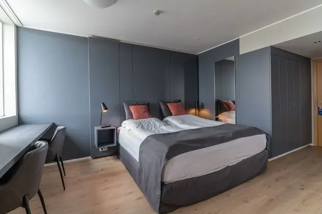 Deluxe Tek Büyük Yataklı Oda, 1 Yatak Odası, Şehir Manzaralı