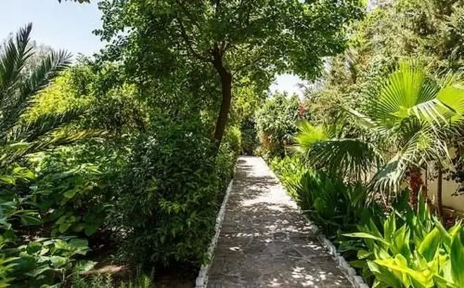 Tek Büyük Yataklı Oda, Bahçe Manzaralı