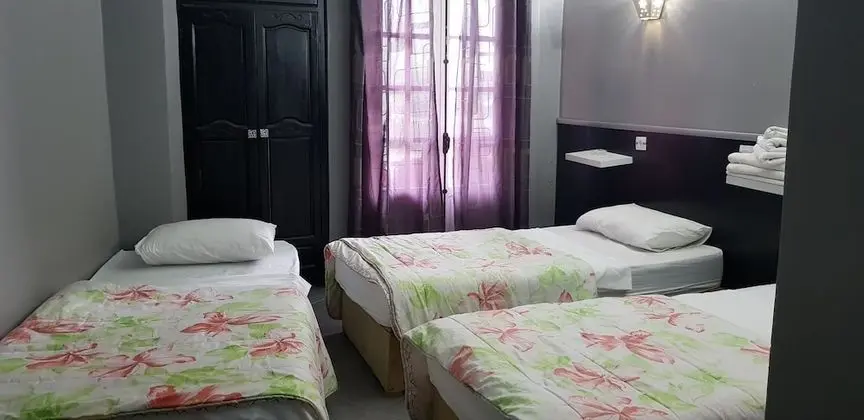 Basic Üç Kişilik Oda, 3 Tek Kişilik Yatak, Sigara İçilebilir, Şehir Manzaralı