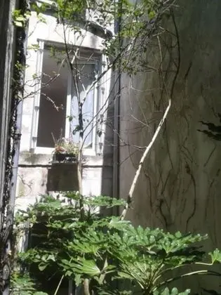 Economy Tek Büyük Yataklı Oda, Avlu