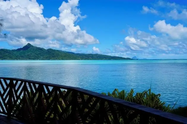 Oda