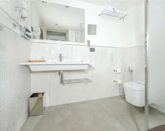 Superior Tek Büyük Yataklı Oda