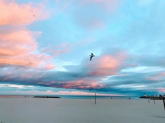 Tek Büyük Yataklı Oda, Okyanusa Sıfır