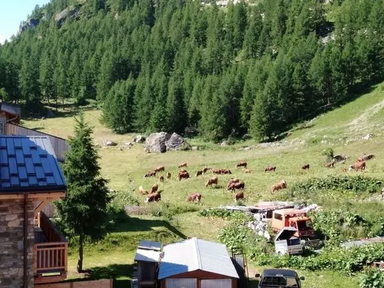 İki Ayrı Yataklı Oda (4)