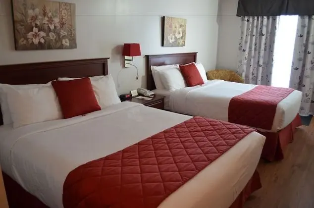 Comfort Oda, 2 Büyük (Queen) Boy Yatak