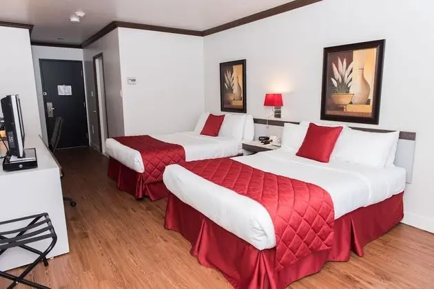 Comfort Oda, 2 Çift Kişilik Yatak, Balkon