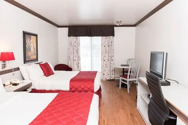 Comfort Oda, 2 Çift Kişilik Yatak, Balkon