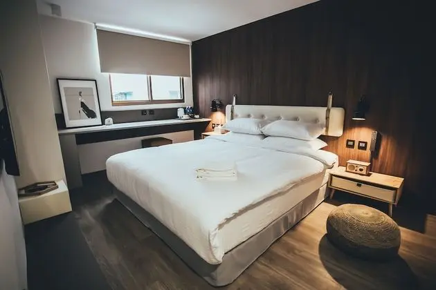 Superior Tek Büyük Yataklı Oda, Sigara İçilmez, Küvet