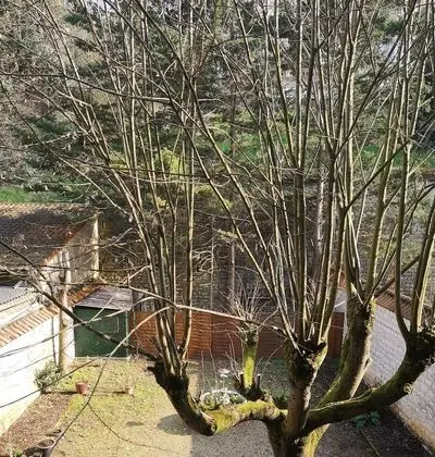 Standard Tek Büyük Yataklı Oda, Banyolu/Duşlu