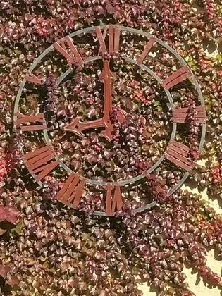 Romantic Tek Büyük Yataklı Oda