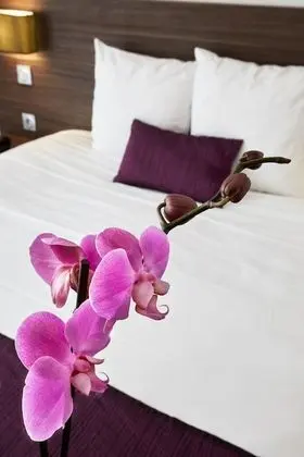Standard Tek Büyük Yataklı Oda, Balkon
