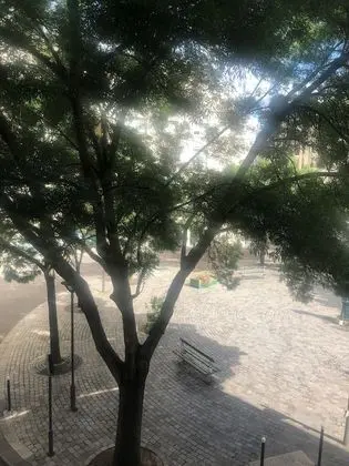 Tek Büyük Yataklı Oda, Şehir Manzaralı