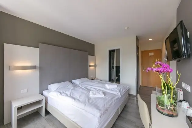 Tek Büyük Yataklı Oda, Balkon, Üzüm Asması Manzaralı