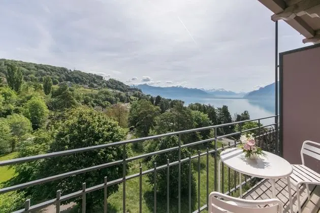 Tek Büyük Yataklı Oda, Balkon, Üzüm Asması Manzaralı