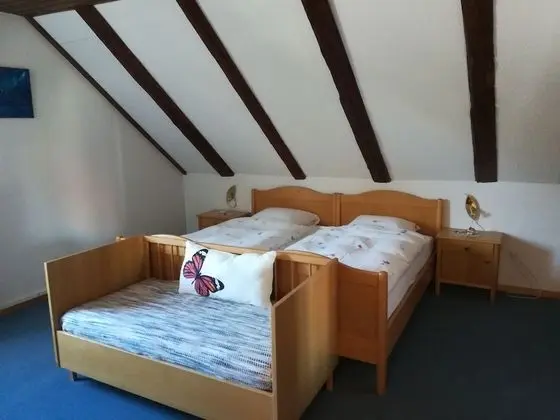 Süit